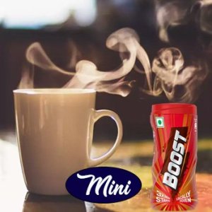 Pure Milk with Boost (Mini)